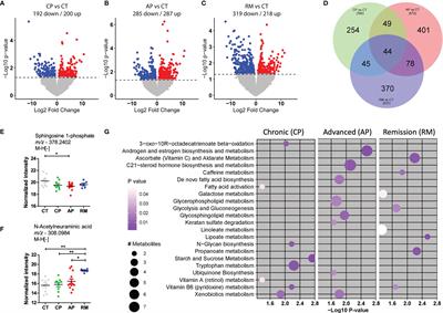 Bioactive Lipids as Chronic Myeloid Leukemia’s Potential Biomarkers for Disease Progression and Response to Tyrosine Kinase Inhibitors